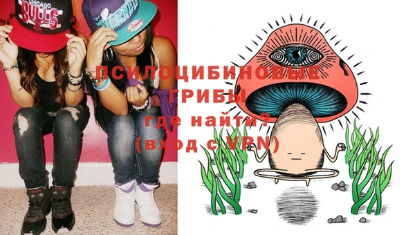 прущий лед Алзамай