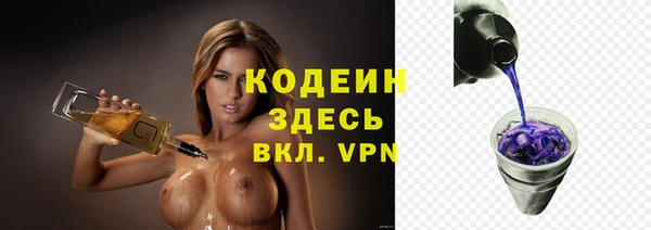 прущий лед Алзамай