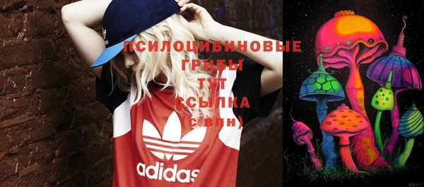 ешки Алексеевка