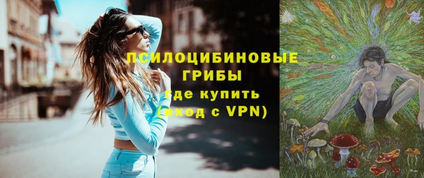 сатива Армянск