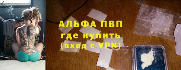 сатива Армянск