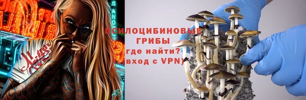 ешки Алексеевка